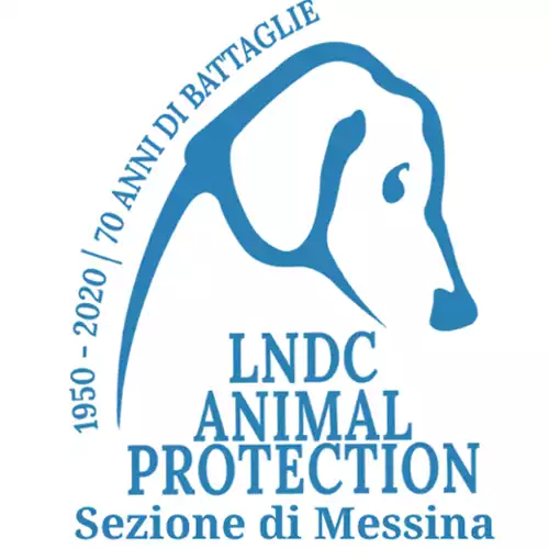 Logo Lega Nazionale per la Difesa del Cane - Sez. di Messina