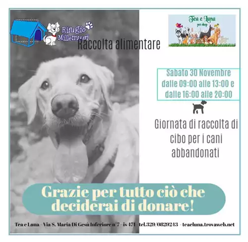 Content Raccolta fondi da Teo e Luna